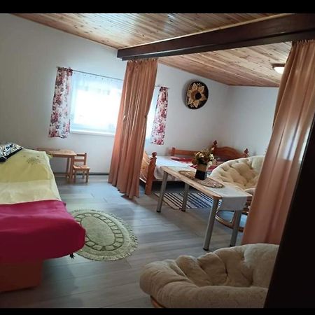 Wczasy Na Kaszubach U Hani 维勒 外观 照片