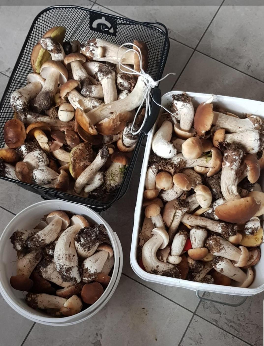 Wczasy Na Kaszubach U Hani 维勒 外观 照片