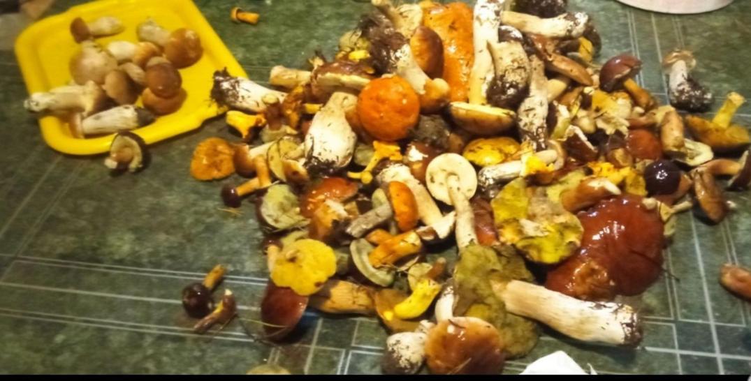 Wczasy Na Kaszubach U Hani 维勒 外观 照片