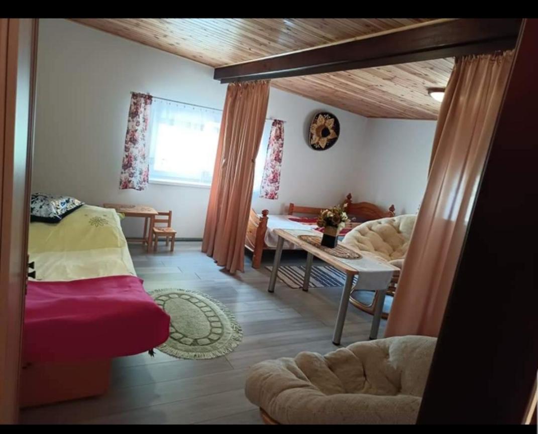 Wczasy Na Kaszubach U Hani 维勒 外观 照片