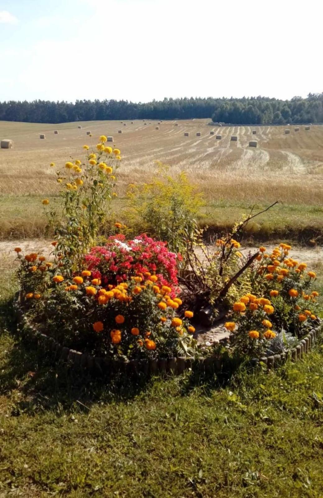 Wczasy Na Kaszubach U Hani 维勒 外观 照片